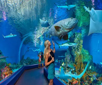 Cairns Aquarium: Entry Ticket